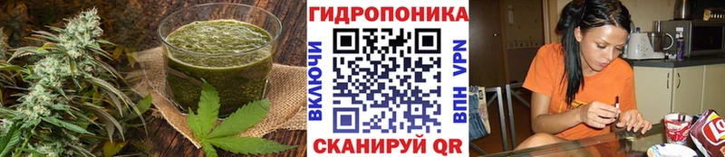 Купить  Кингисепп  Печенье с ТГК конопля 