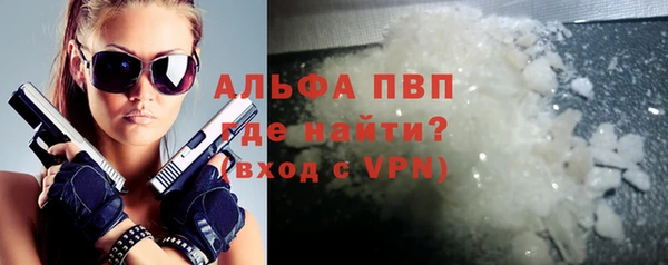 стафф Алексин