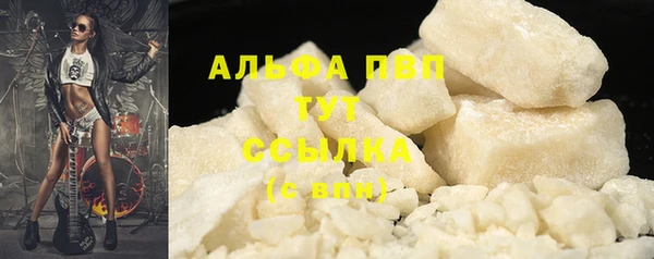 стафф Алексин