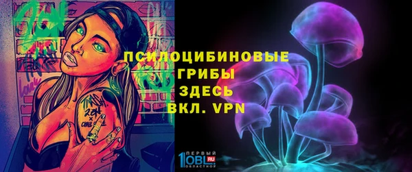 соль курить ск Алексеевка