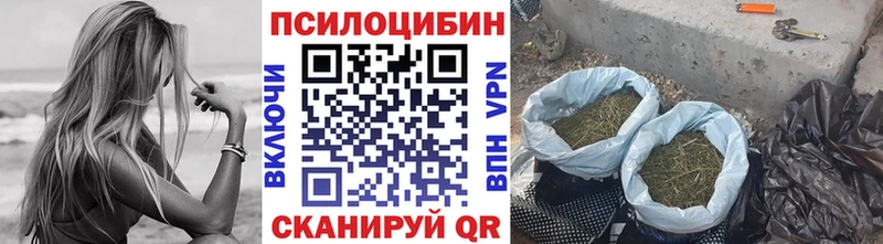 Галлюциногенные грибы Psilocybine cubensis  Купить закладки  Кингисепп 